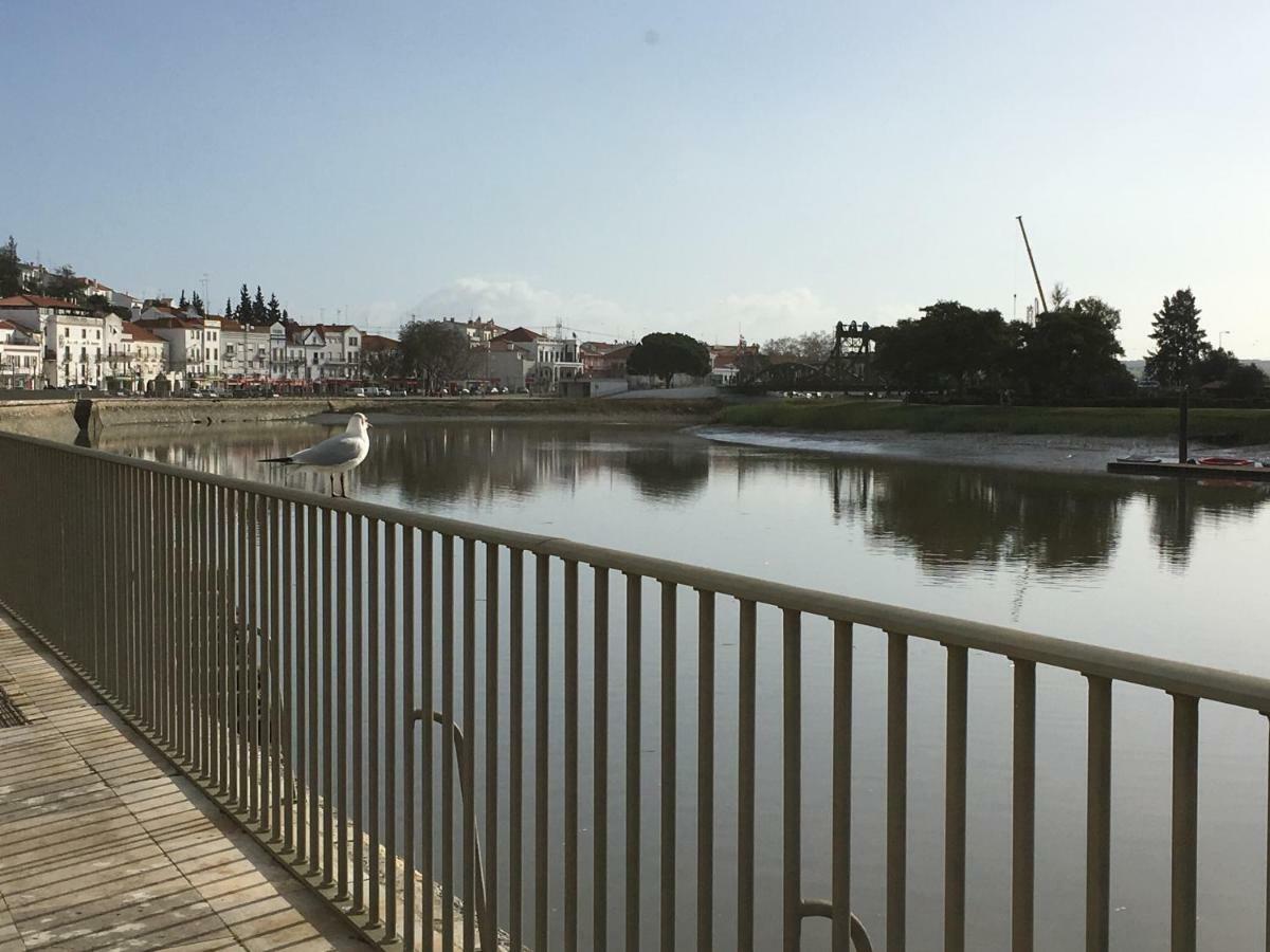 Alcacer River Apartment Alcácer do Sal Dış mekan fotoğraf